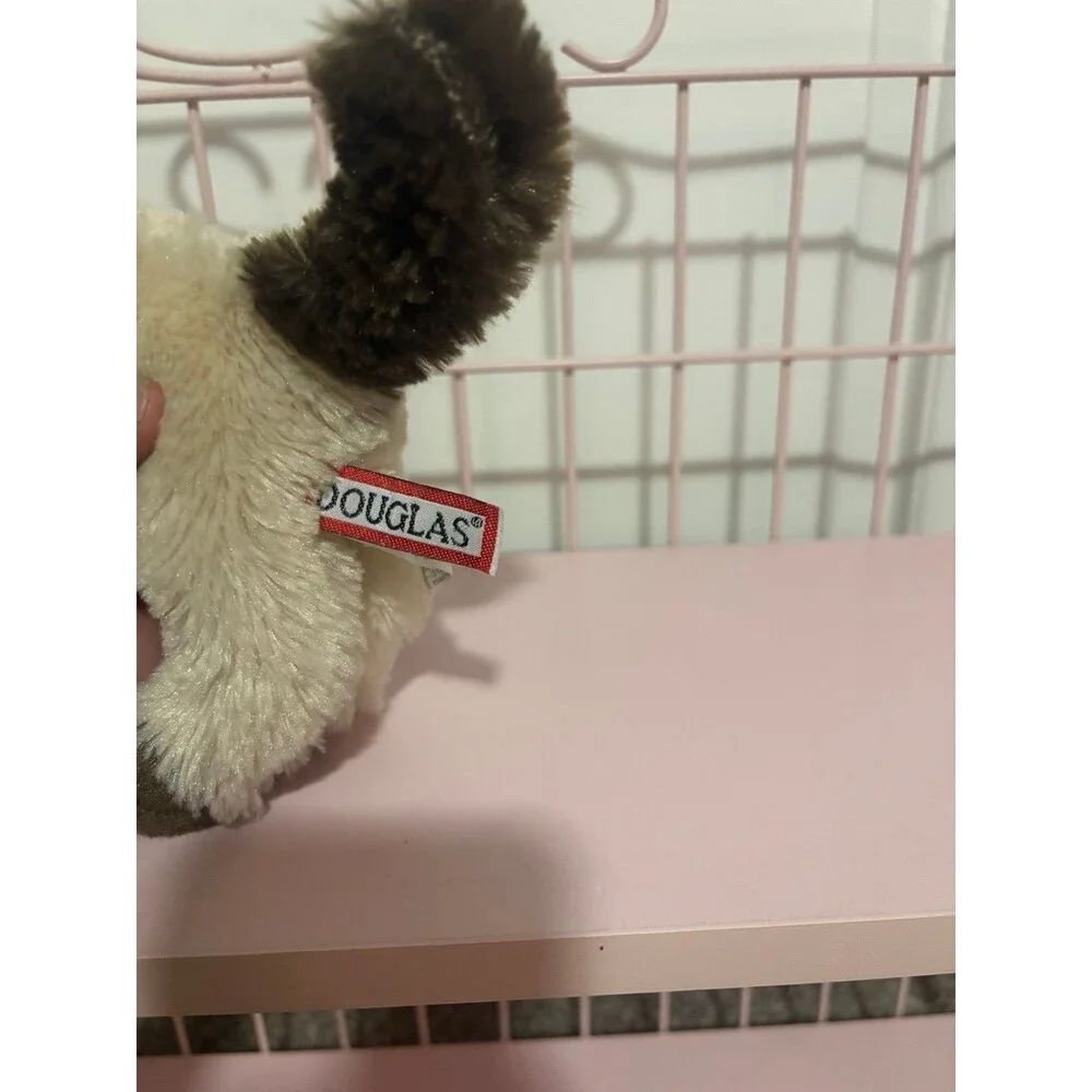Douglas Hilda himalayan cat